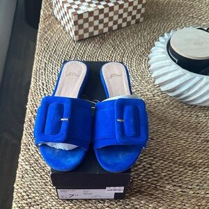 J. Crew Cobalt Blue Suede Slide Mules